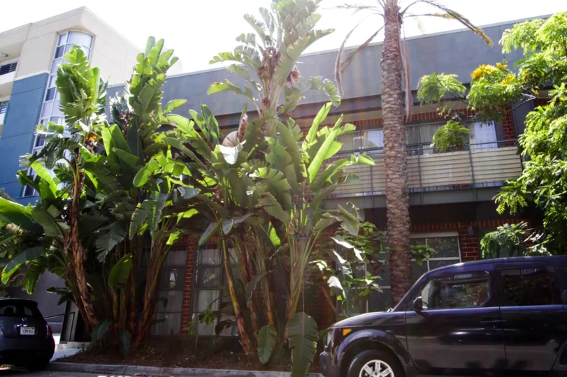 The landscaping at The Princeton Lofts