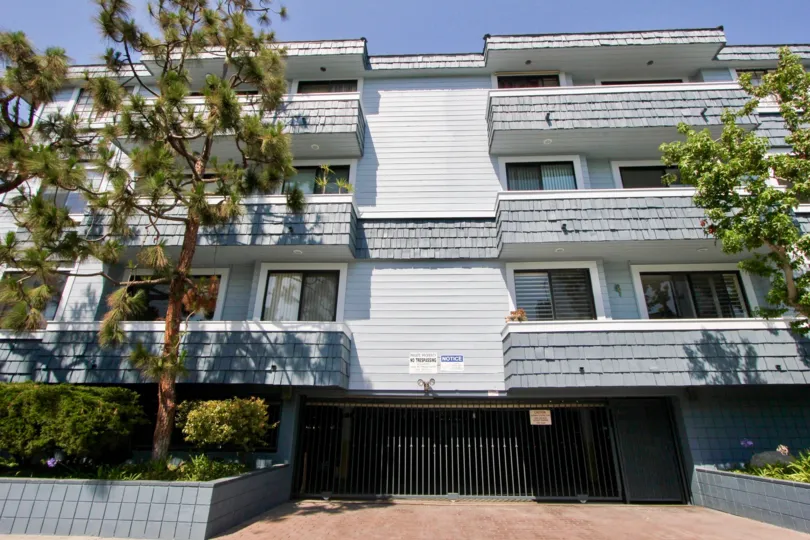 An apartment building painted grey with wide balconies overlooking pine trees in Marina del Rey