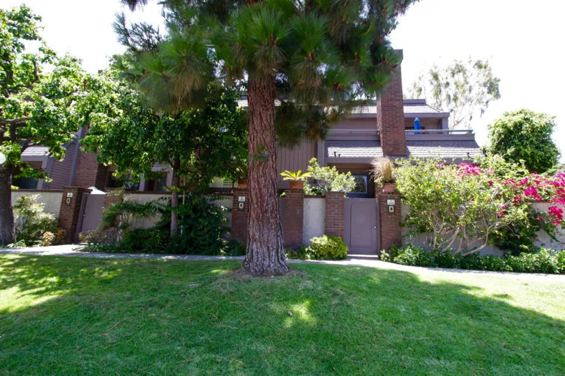 The trees that are around Villa Alicante in Marina Del Rey