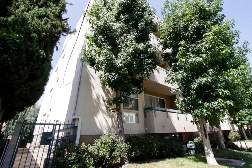 The landscaping at 11225 Peach Grove St in North Hollywood