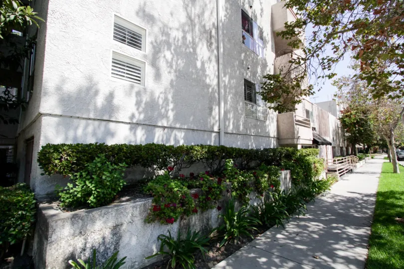 The landscaping around 11230 Peach Grove St