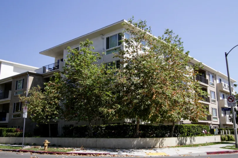 The landscaping around 4820 Bellflower Ave in North Hollywood