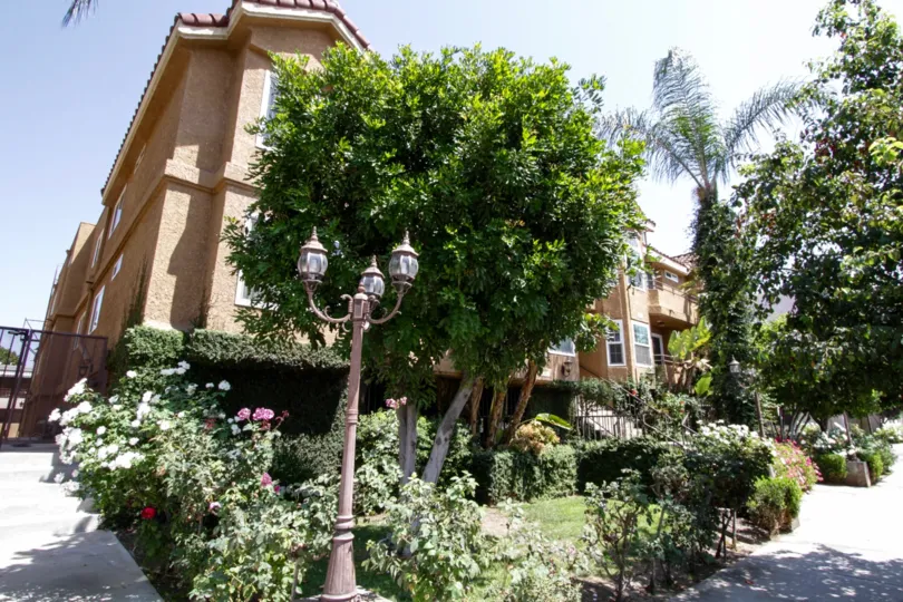 The greenergy surrounding 5102 Tujunga Ave