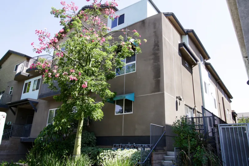 The Argento Townhomes building in North Hollywood