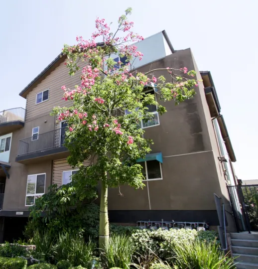 The balcony seen at Argento Townhomes