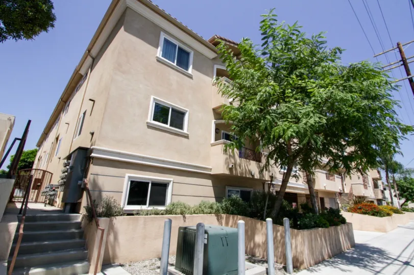 The trees around the Bellaire Townhouses