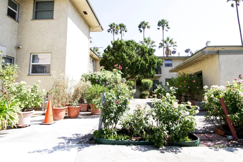 The landscaping around the Cahuenga Gardens