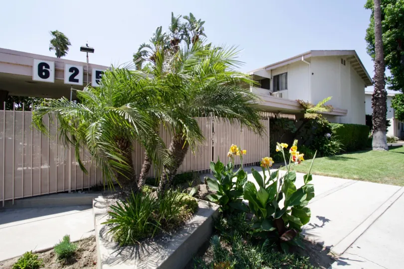 The foliage seen around Coldwater Ardmore in North Hollywood