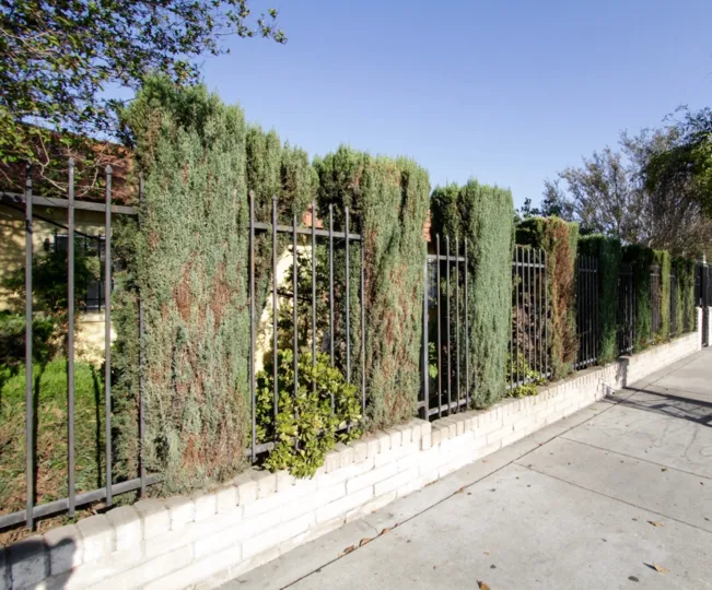 The landscaping at Laurel Canyon in North Hollywood