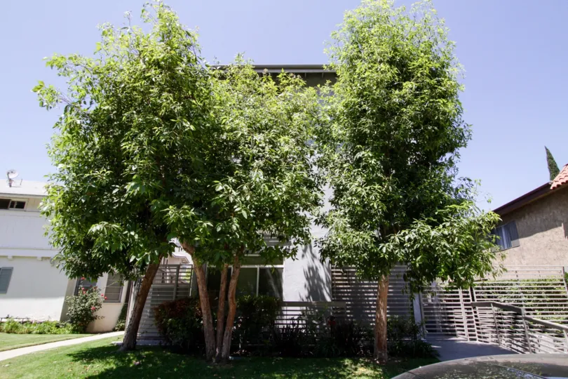 The landscaping for Lofts at Toluca Lake