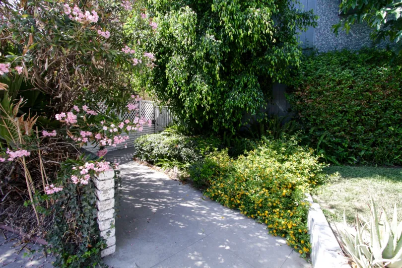 The sidewalk through Moorpark Ardmore