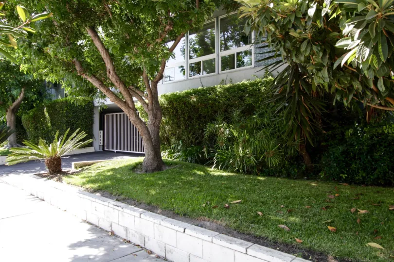 The landscaping seen around Moorpark Ardmore in North Hollywood