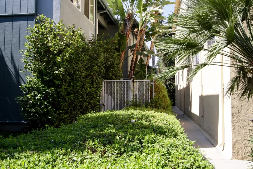 A gated entrance into Moorpark Ardmore