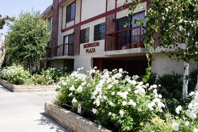 The landscaping around Morrison Plaza