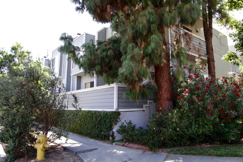 A view of Peach Grove from the sidewalk in North Hollywood