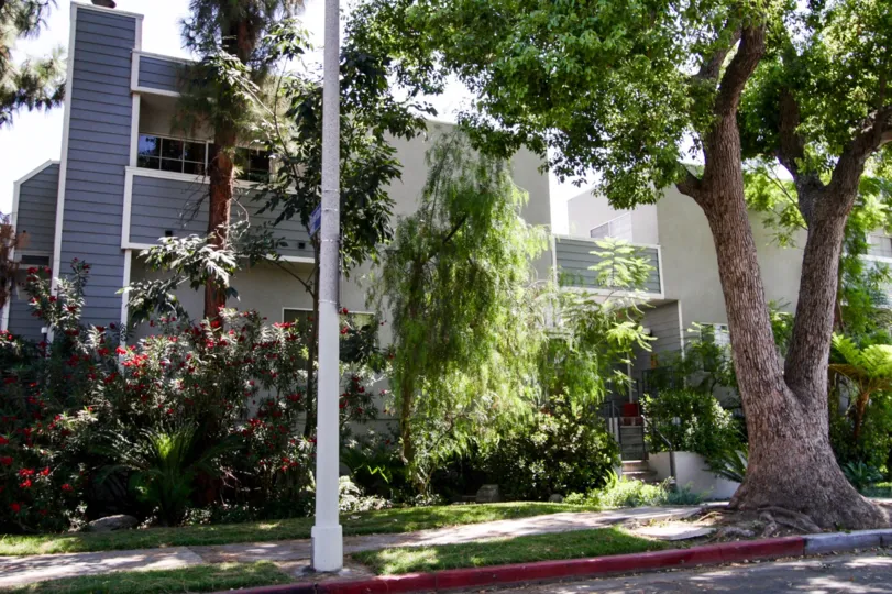 The rich landscaping around Peach Grove in North Hollywood