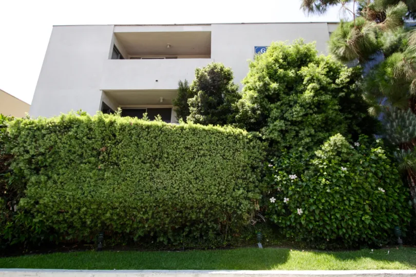 The landscaping at Sutton Terrace North