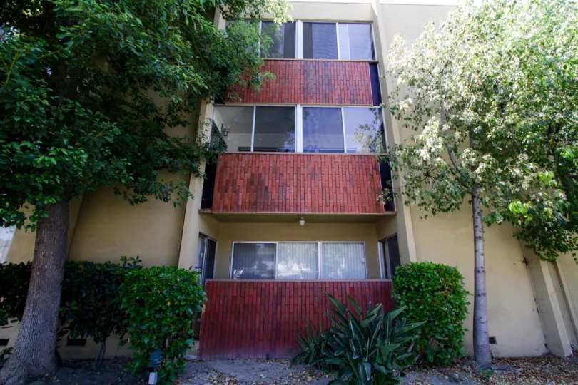 The windows on the Sutton Terrace South
