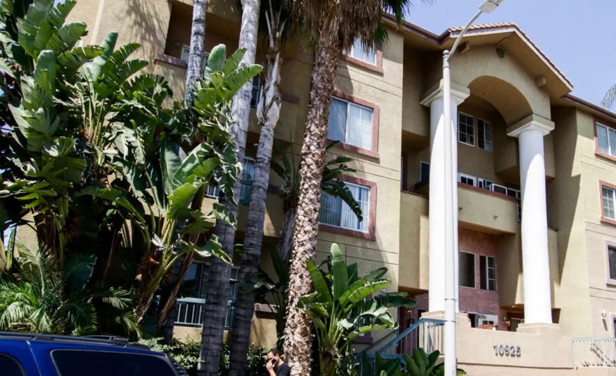 The trees against the Toluca Gardens in North Hollywood