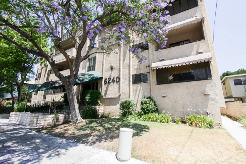 The landscaping around the Whitsett Condominiums in North Hollywood