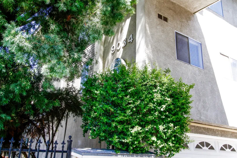The landscaping around 9034 Willis Ave