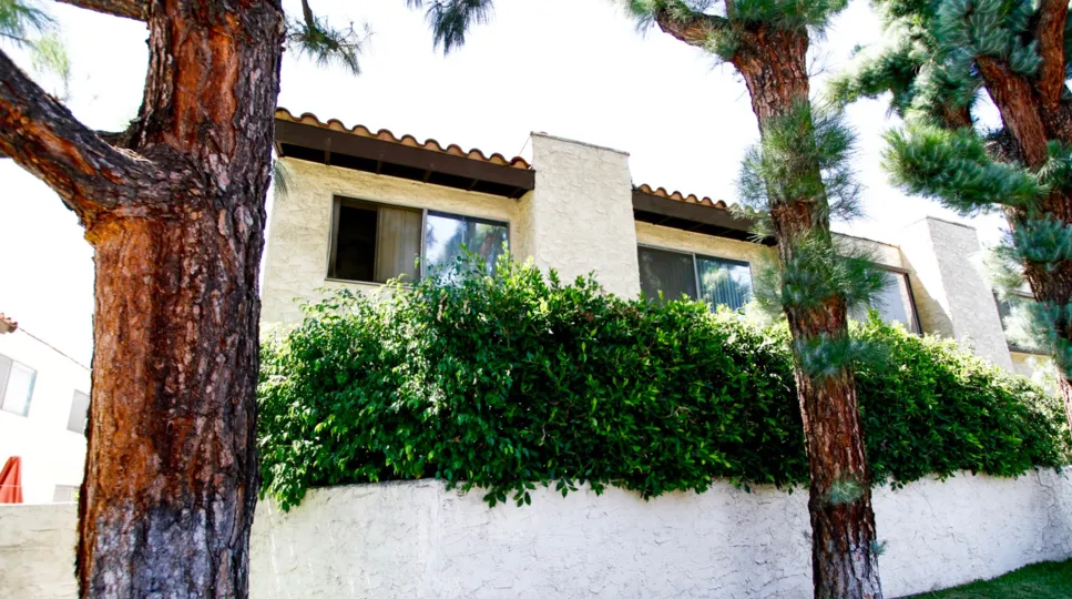 The hedges around Panorama Ranchos