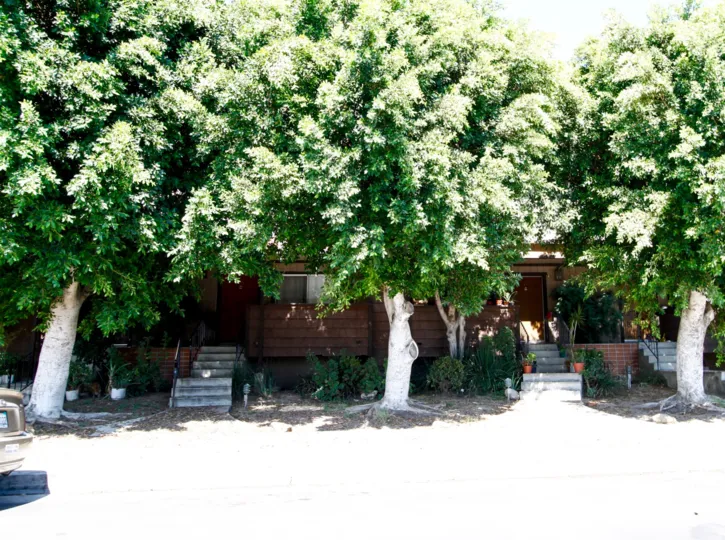The landscaping around Terra Bella Gardens in Panorama City California