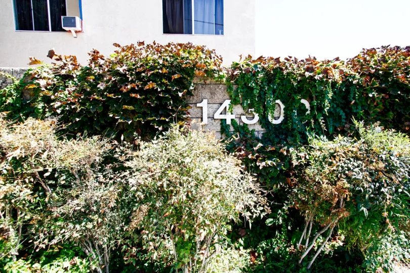 The landscaping seen around Terra Bella Patio Homes