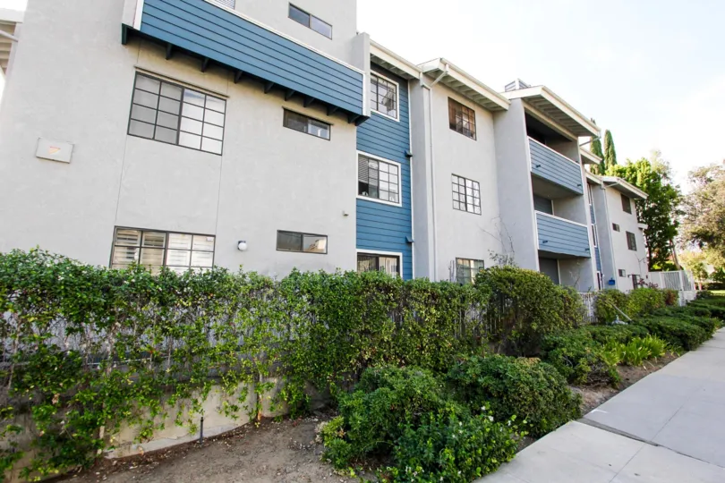 The landscaping around 1245 Cordova St in Pasadena, California