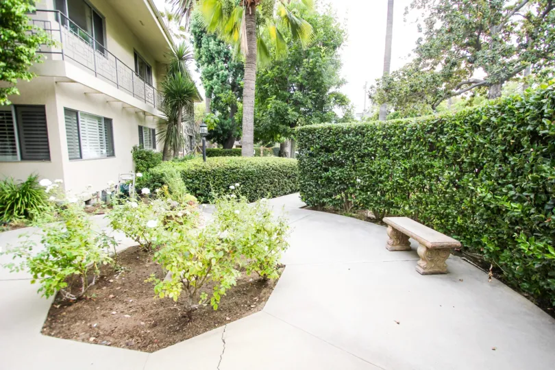 The landscaping around 1250 S Orange Grove Blvd in Pasadena, California