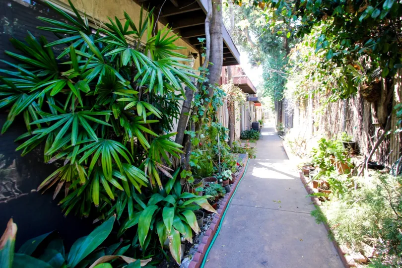 The landscaping around 1415 El Sereno
