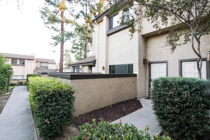The hedges around 1484 Corson St