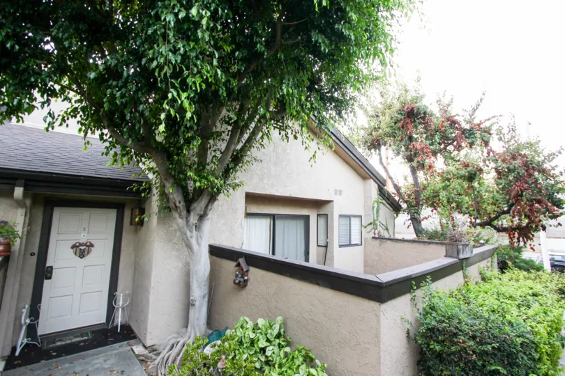 The landscaping around 1484 Corson St in Pasadena, California