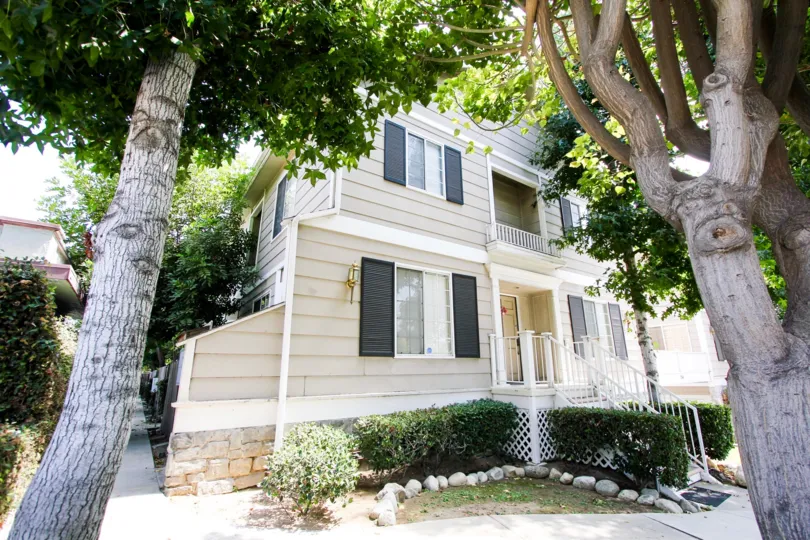 The hedges around 154 N Meridith Ave