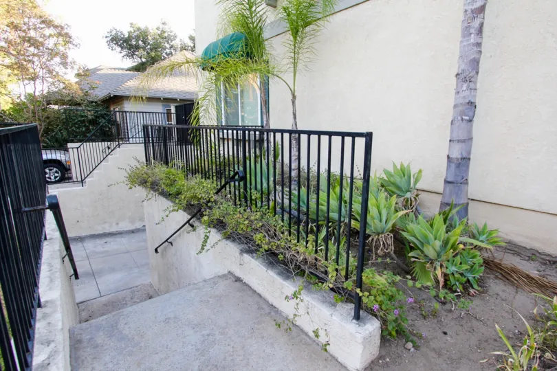 The plants around 253 N Mar Vista Ave