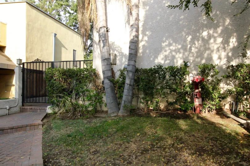 The yard in front of 322 S Mentor Ave in Pasadena, California