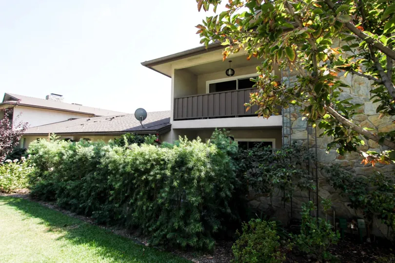 The hedges around 375 Cliff Dr