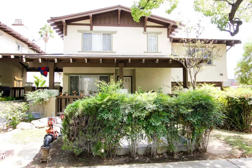 The bushes in the front of 38 N Bonnie Ave located in Pasadena, California