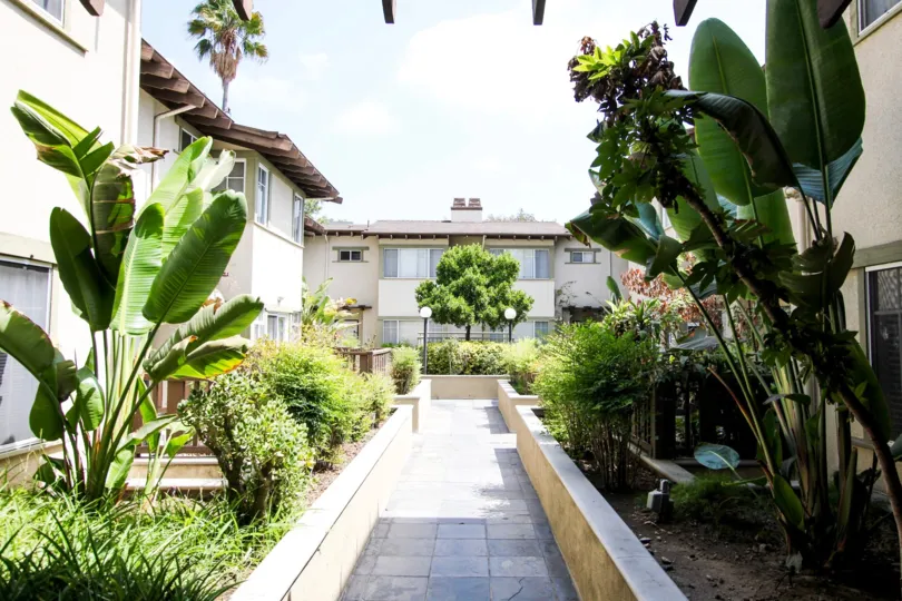 The gardens around 38 N Bonnie Ave