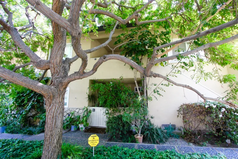 The landscaping around 385 Cliff Dr in Pasadena, California