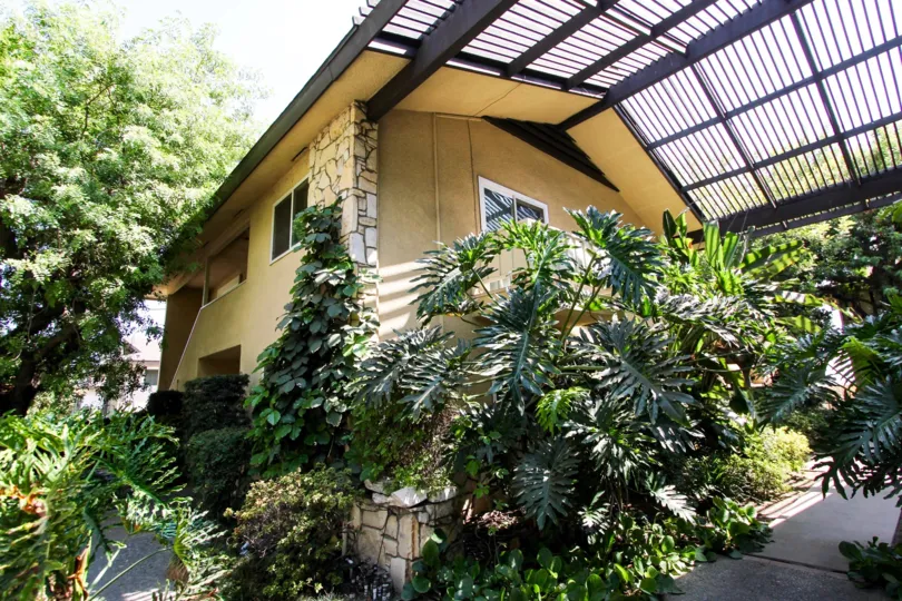 The plants around 385 Cliff Dr in Pasadena, California