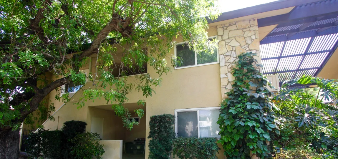 The windows at 385 Cliff Dr