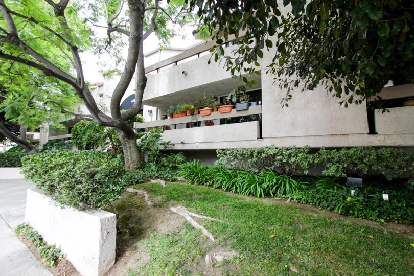 The yard in front of 401 E California Blvd