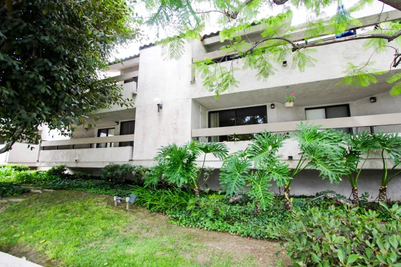 The plants around the balconies at 401 E California Blvd