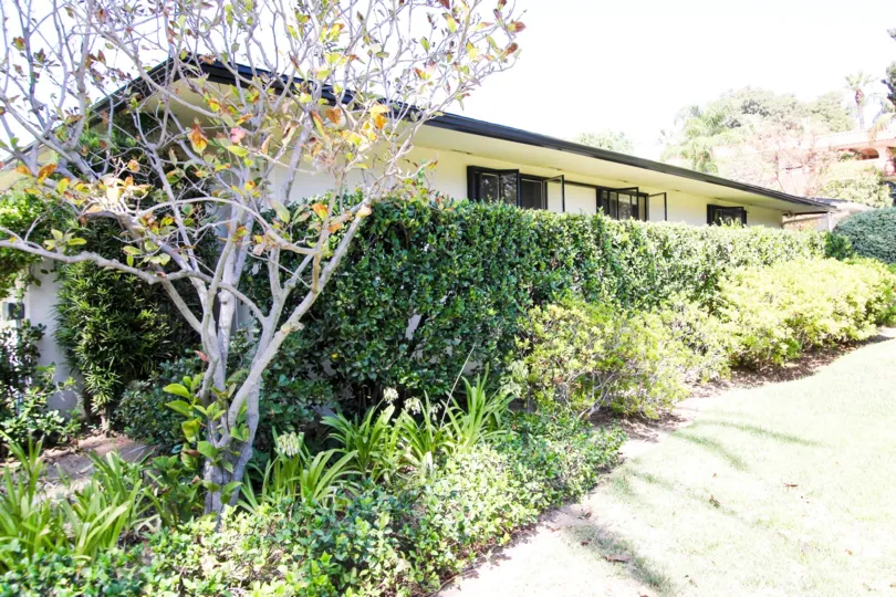 The hedges in front of 481 S Orange Grove Blvd