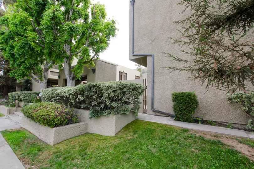 The landscaping around 484 E California Blvd
