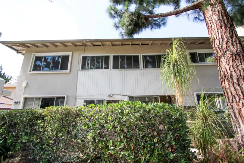 The hedges in front of 485 S Madison Ave in Pasadena, California