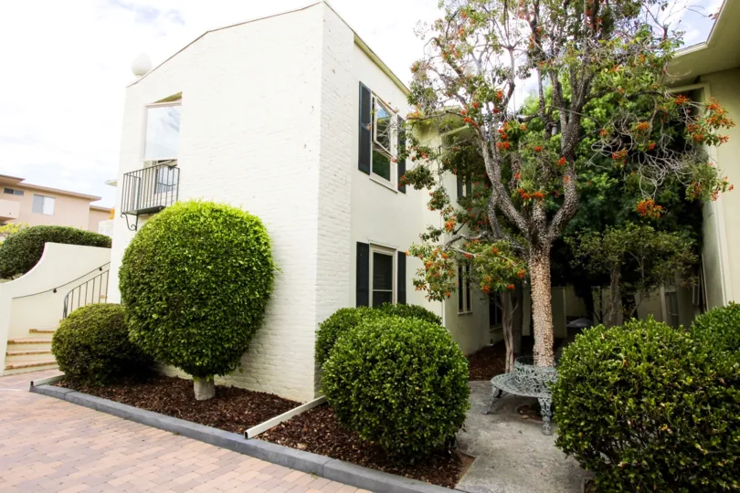 The trees around 515 S Oakland Ave in Pasadena, California
