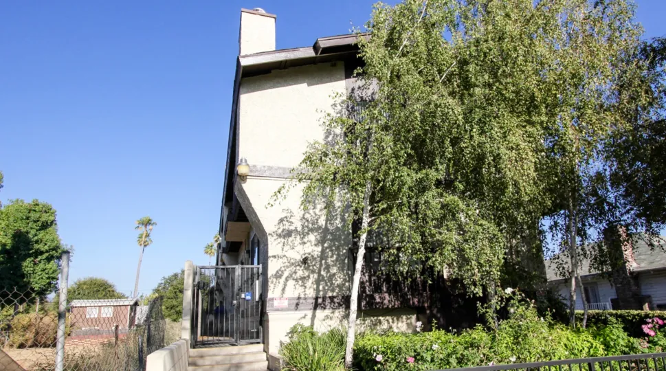 The trees in front of 592 N Mar Vista Ave in Pasadena, California