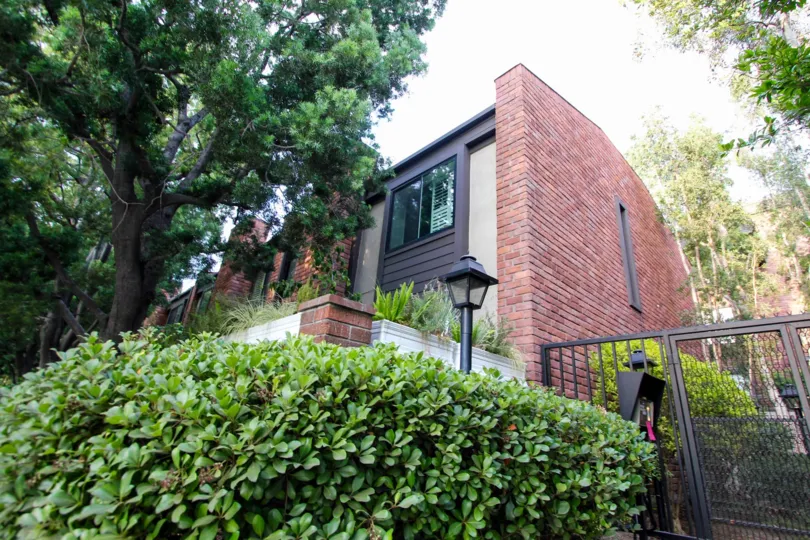 The bushes in front of 700 South Lake Avenue